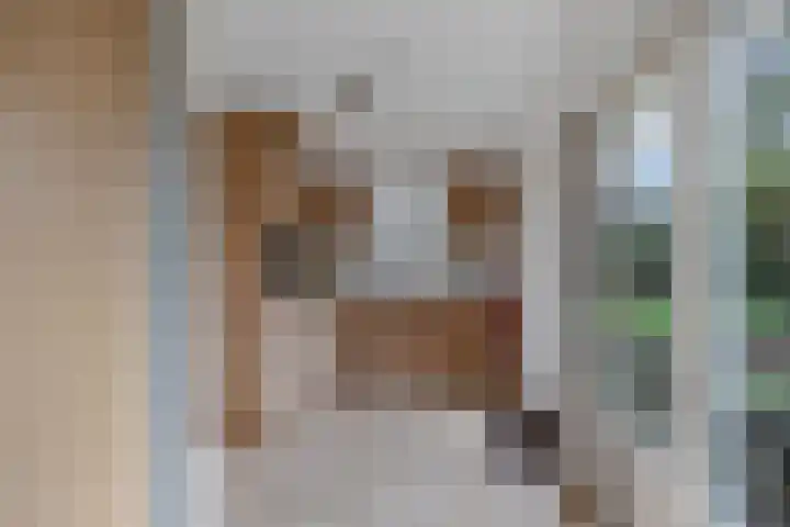 Zuiderhogeweg 105 Drachten thumbnail 17