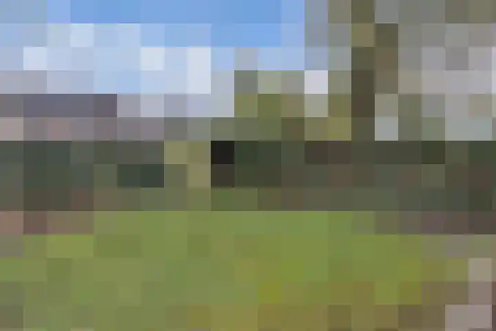 Zuiderhogeweg 105 Drachten thumbnail 34