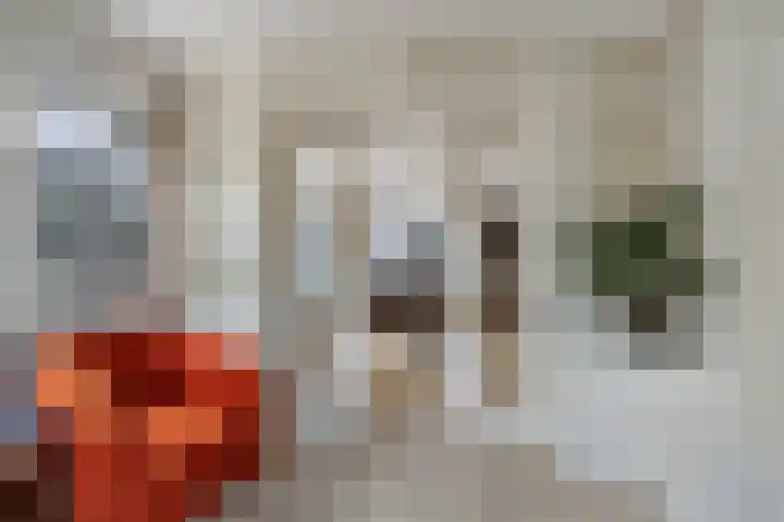 Zuiderhogeweg 105 Drachten thumbnail 9