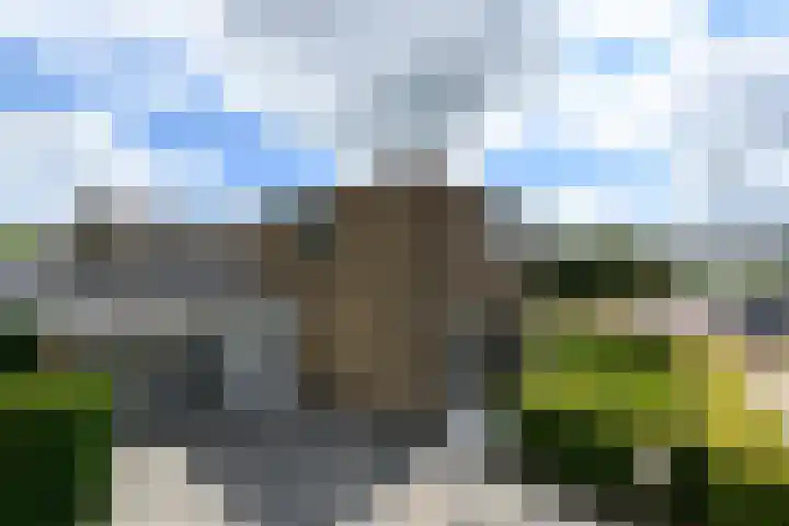 Zuiderhogeweg 119 Drachten thumbnail 34
