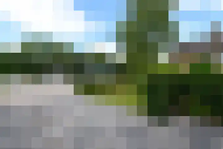 Zuiderhogeweg 119 Drachten thumbnail 35