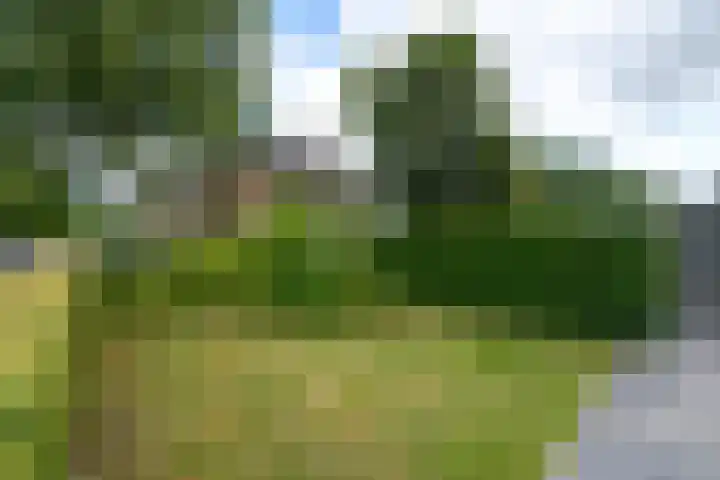 Zuiderhogeweg 119 Drachten thumbnail 36