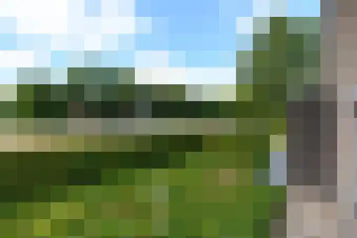 Zuiderhogeweg 119 Drachten thumbnail 38