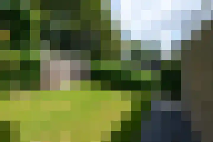 Zuiderhogeweg 119 Drachten thumbnail 41