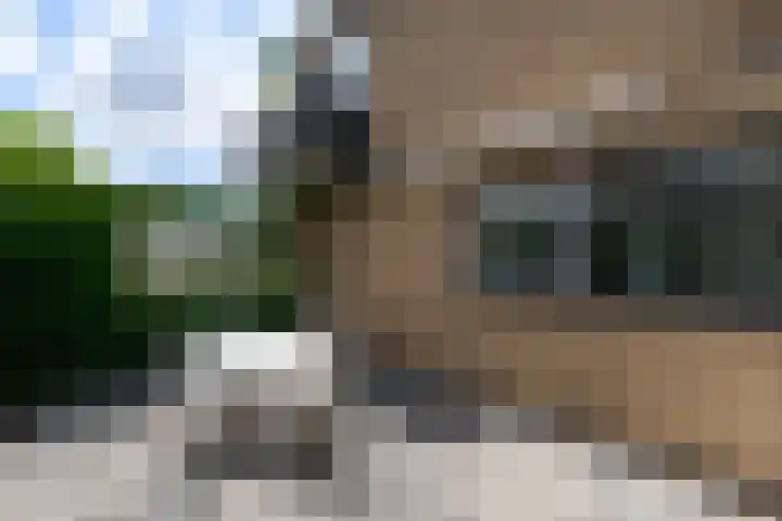Zuiderhogeweg 119 Drachten thumbnail 42