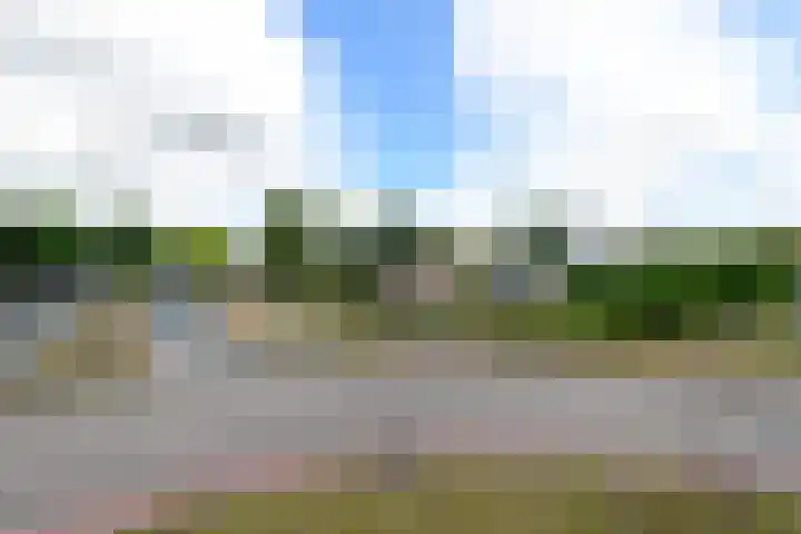 Zuiderhogeweg 119 Drachten thumbnail 46