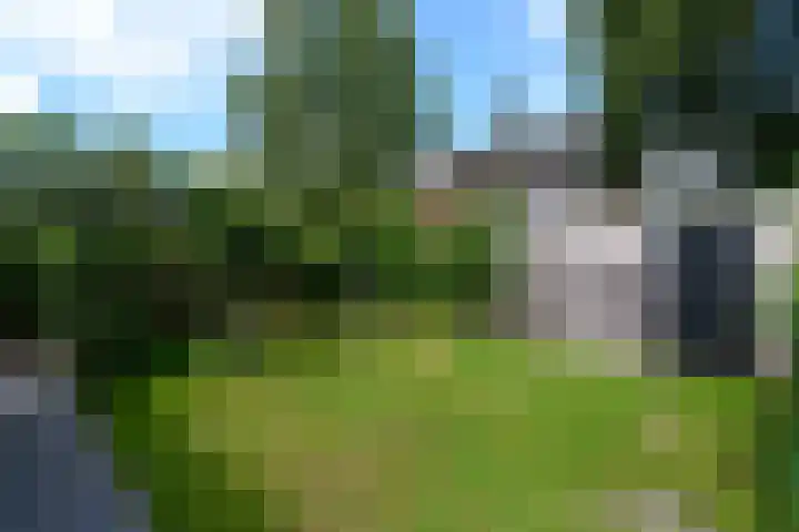Zuiderhogeweg 119 Drachten thumbnail 6