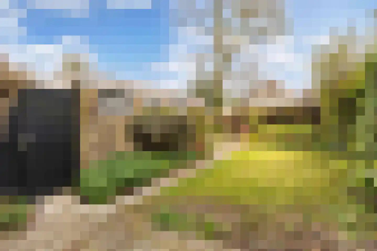 Zuiderhogeweg 37 Drachten thumbnail 24