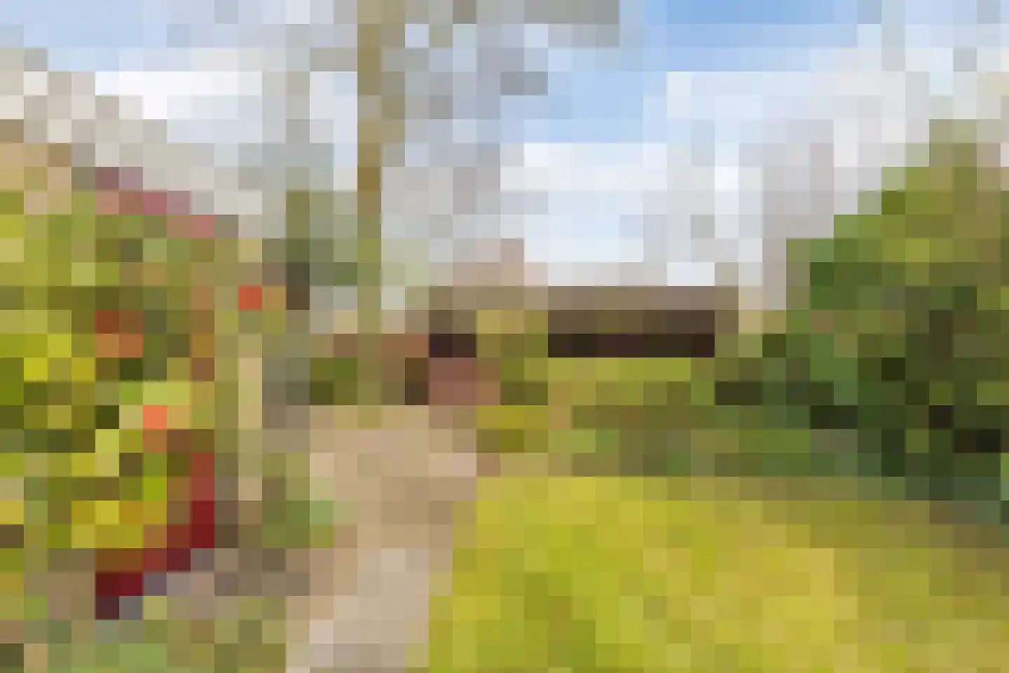Zuiderhogeweg 37 Drachten thumbnail 26