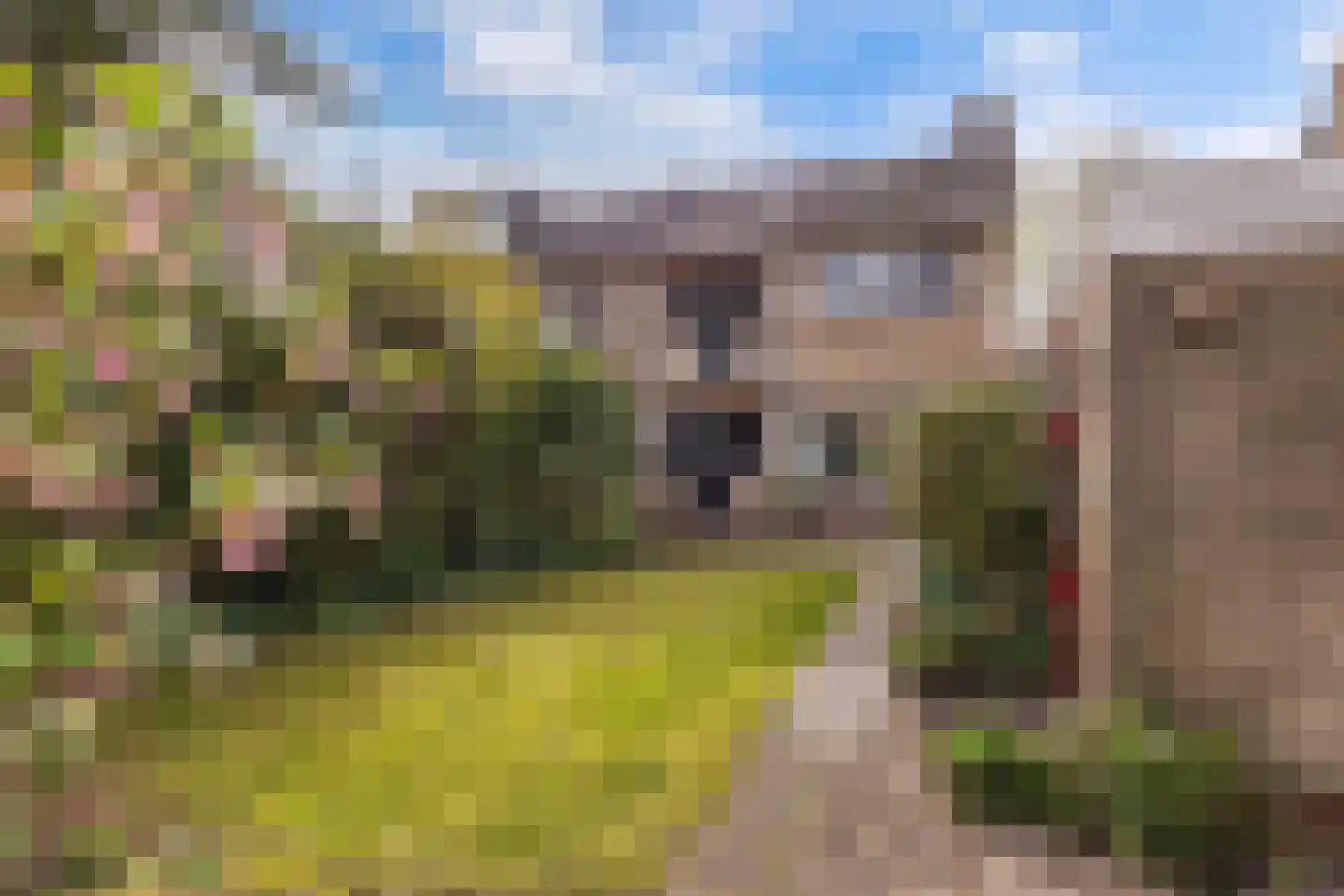 Zuiderhogeweg 37 Drachten thumbnail 28