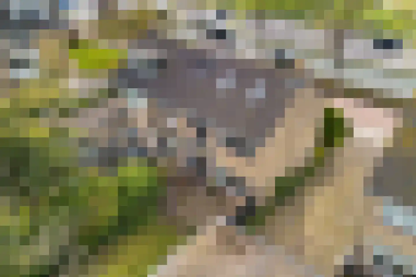 Zuiderhogeweg 37 Drachten thumbnail 35