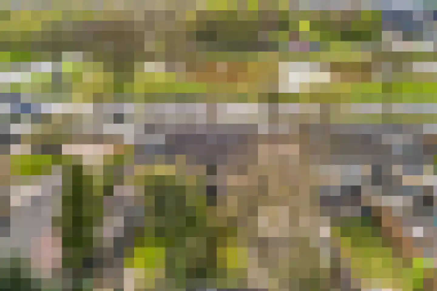 Zuiderhogeweg 37 Drachten thumbnail 36