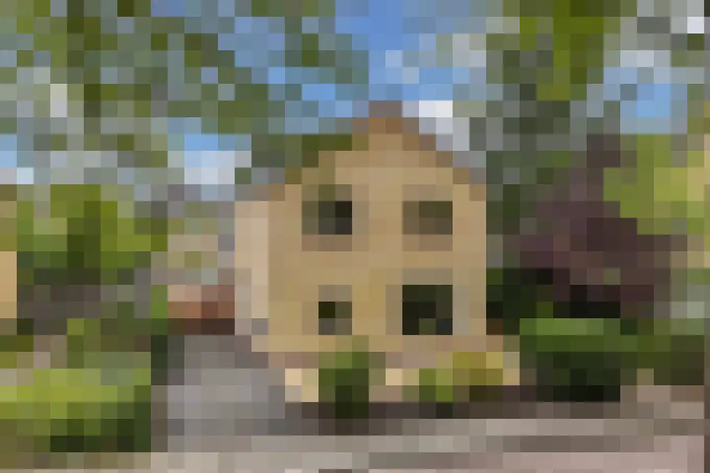Zuiderhogeweg 93 Drachten thumbnail 6