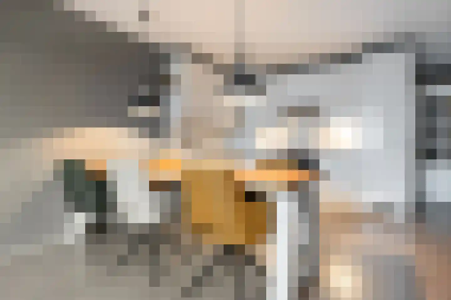 Zuiderhoofddwarsstraat 3 Krommenie thumbnail 13