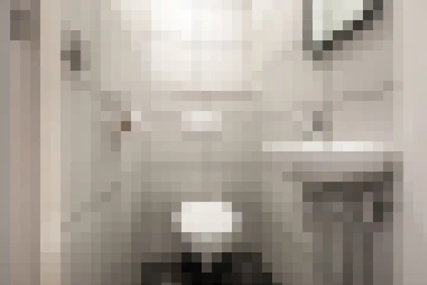 Zuiderhoofddwarsstraat 3 Krommenie thumbnail 23