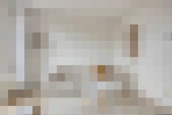 Zuiderhoofdstraat 121 A Krommenie thumbnail 6