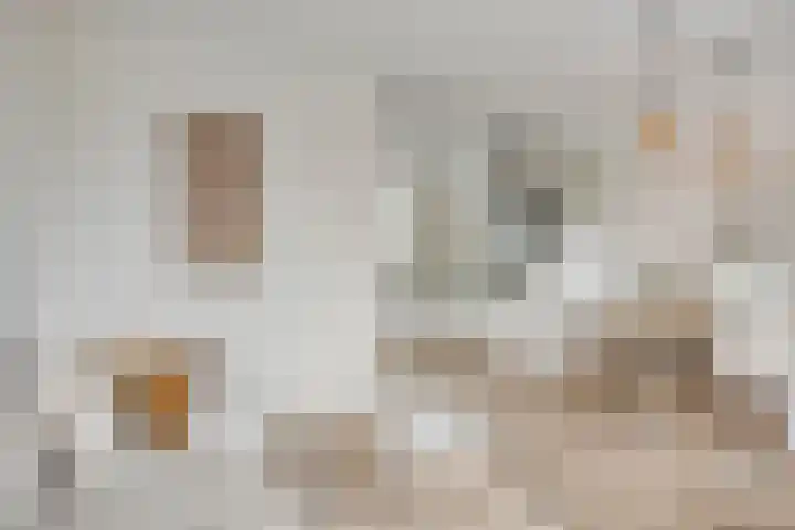 Zuiderhoofdstraat 121 A Krommenie thumbnail 7