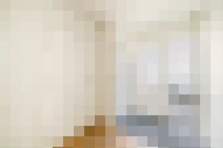 Zuiderhoofdstraat 3 B Krommenie thumbnail 8