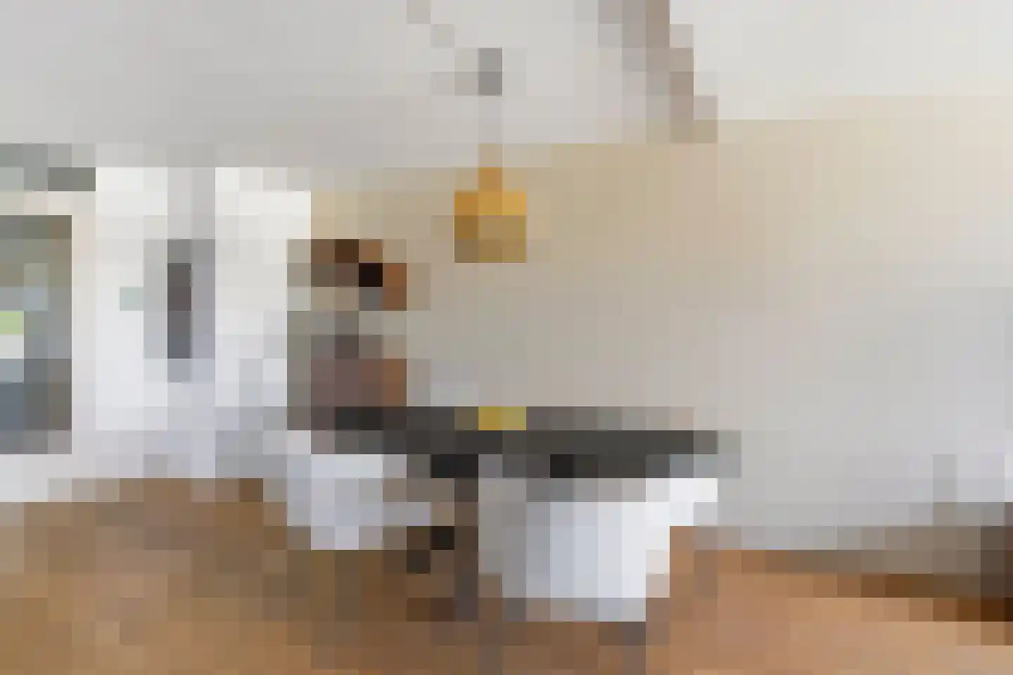 Zuiderhoofdstraat 36 B Krommenie thumbnail 18