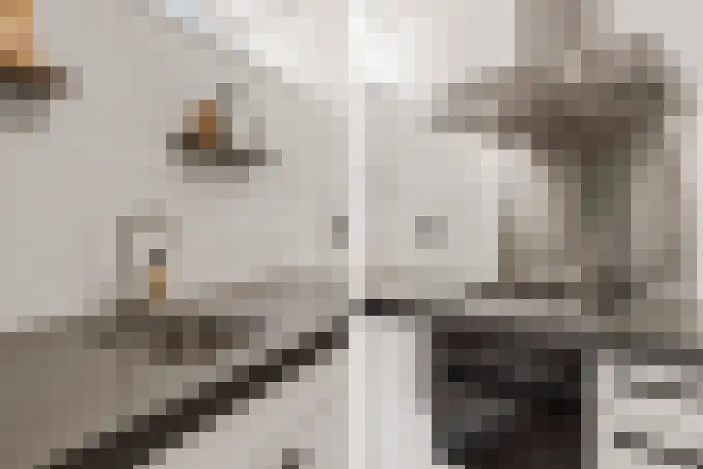 Zuiderhoofdstraat 36 B Krommenie thumbnail 21