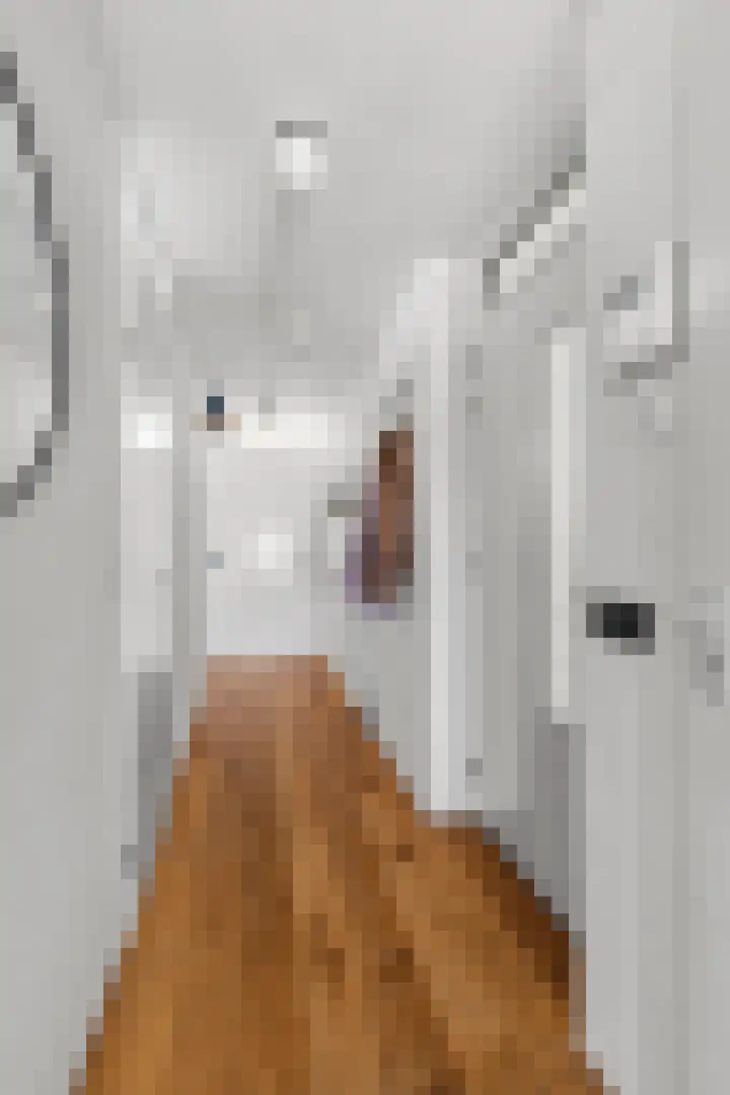 Zuiderhoofdstraat 36 B Krommenie thumbnail 22