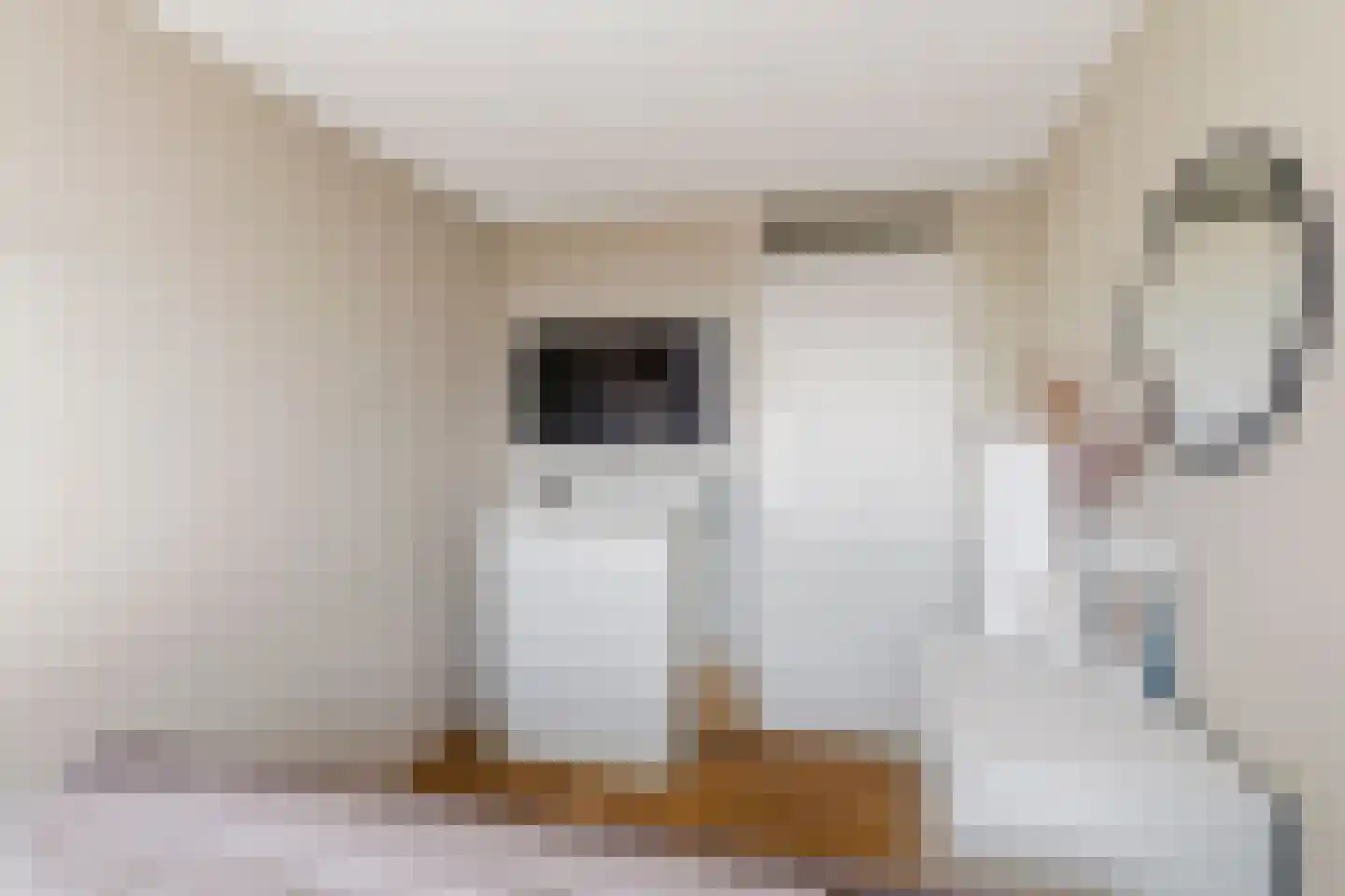 Zuiderhoofdstraat 36 B Krommenie thumbnail 24