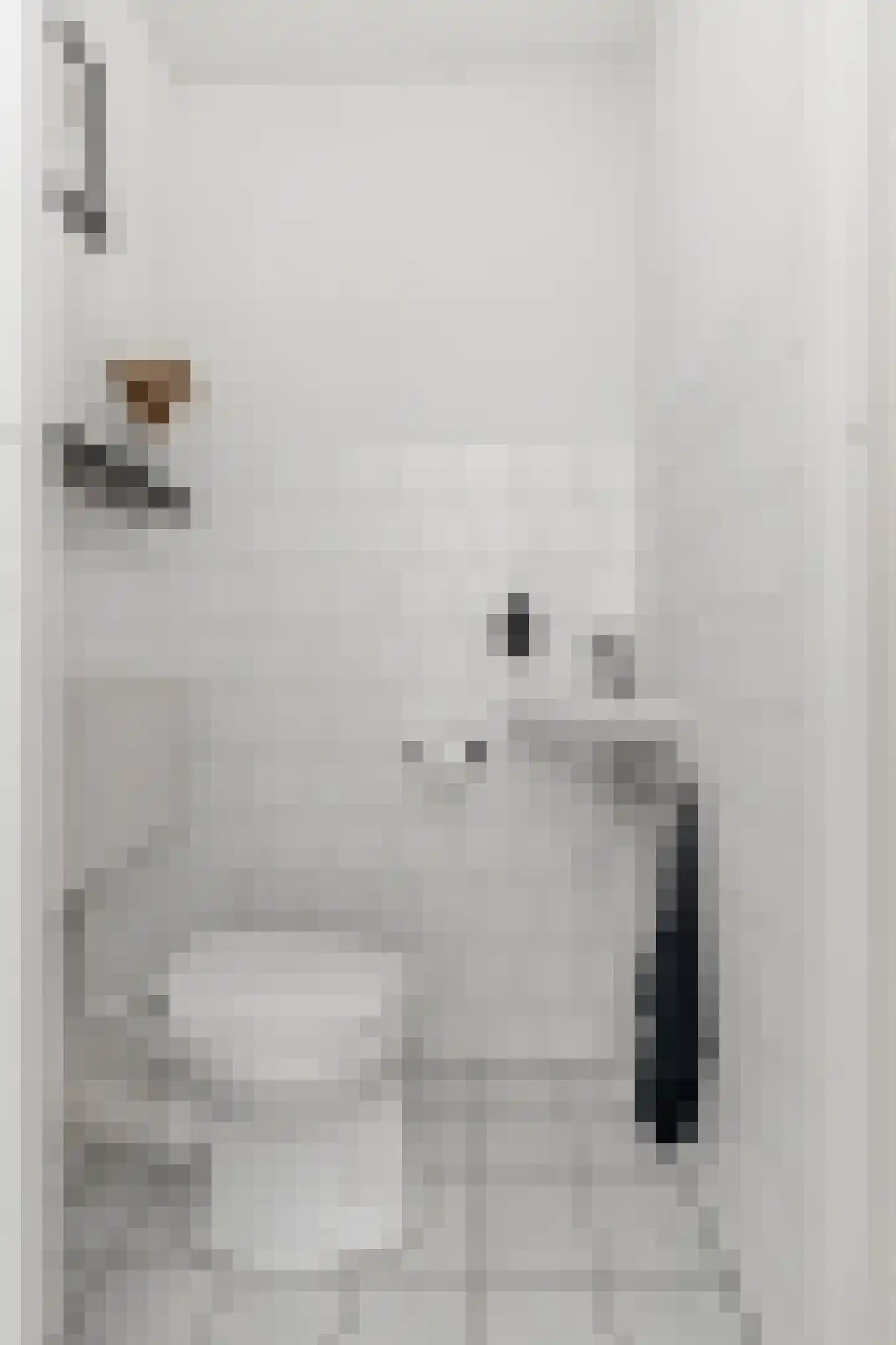 Zuiderhoofdstraat 36 B Krommenie thumbnail 32