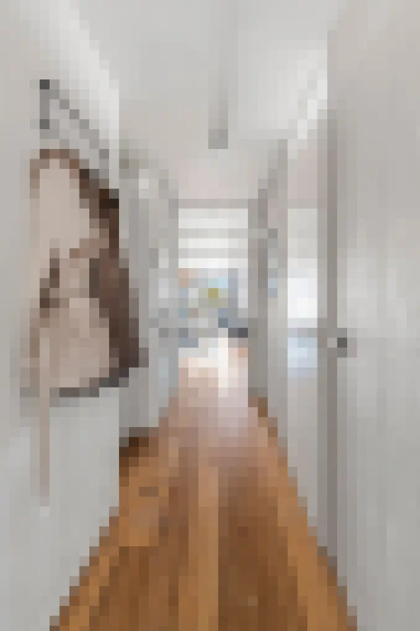 Zuiderhoofdstraat 36 B Krommenie thumbnail 9