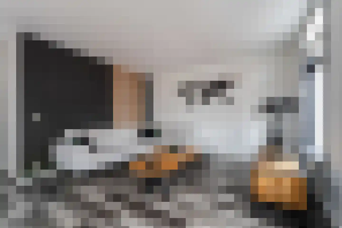 Zuiderhoofdstraat 42 A Krommenie thumbnail 10