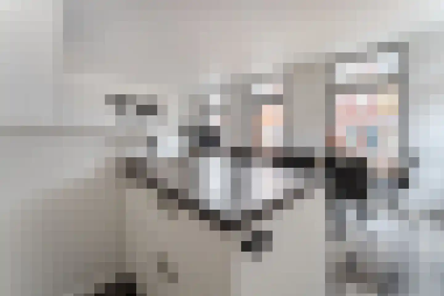 Zuiderhoofdstraat 42 A Krommenie thumbnail 14
