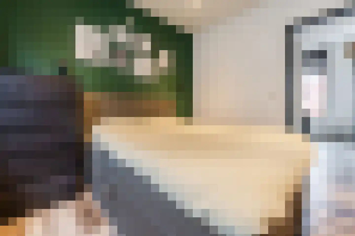 Zuiderhoofdstraat 42 A Krommenie thumbnail 17