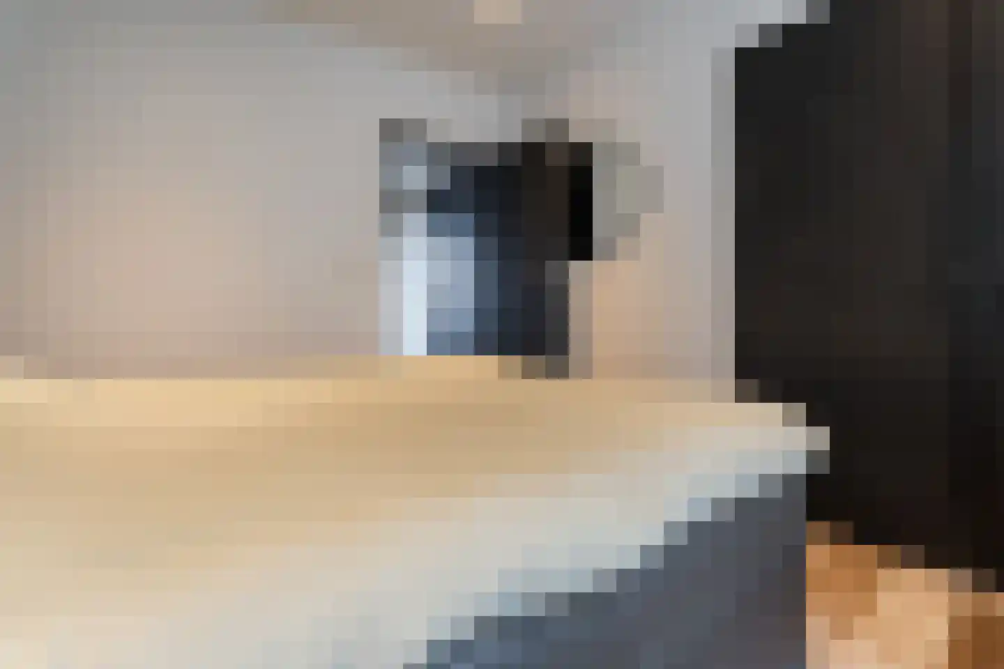 Zuiderhoofdstraat 42 A Krommenie thumbnail 19