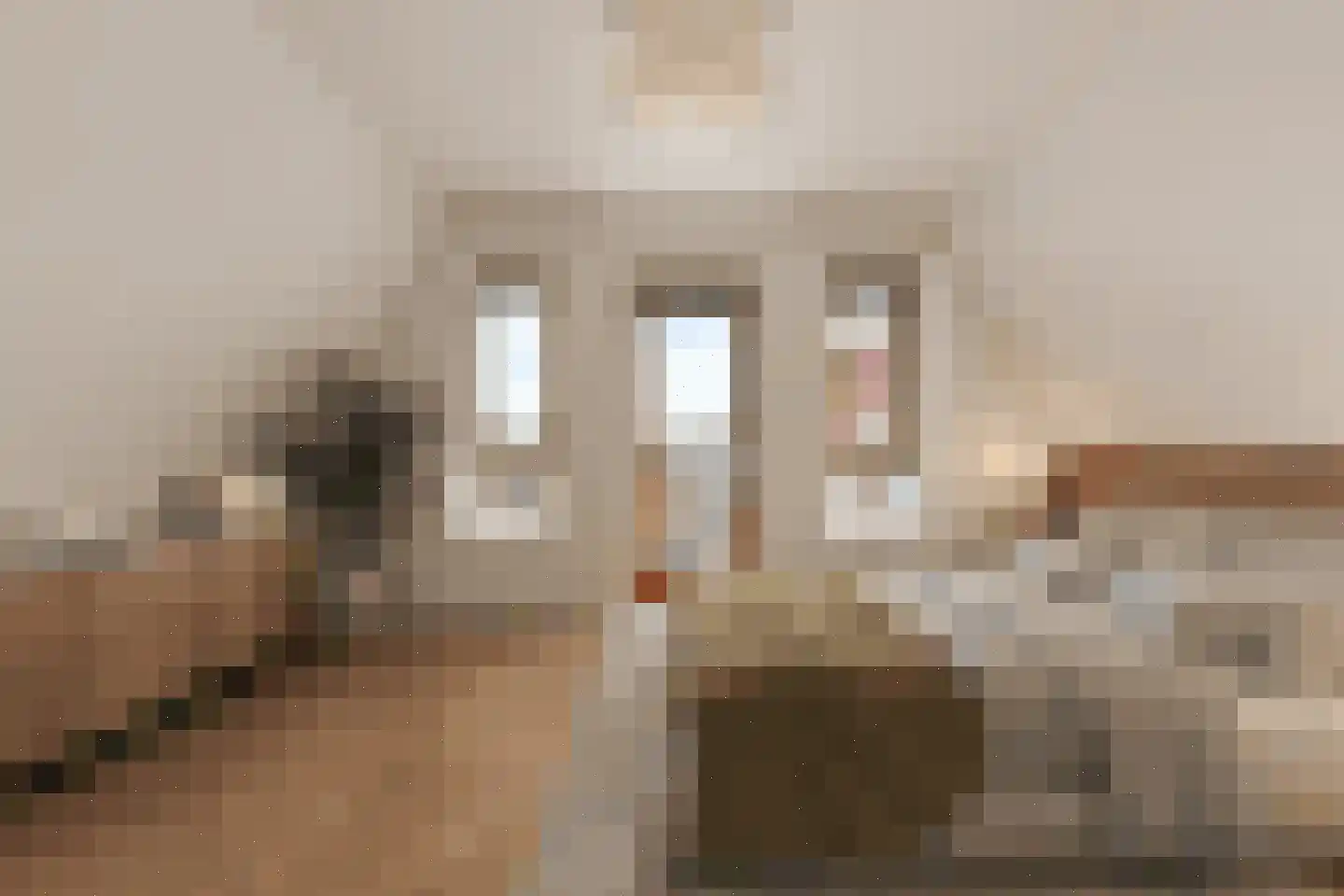 Zuiderhoofdstraat 57 B Krommenie thumbnail 19