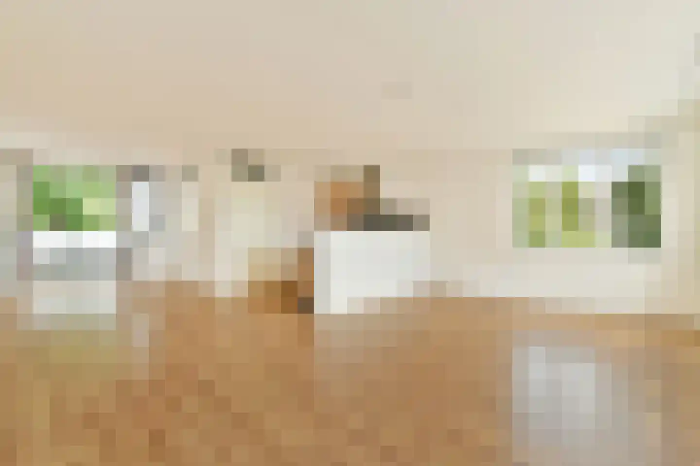 Zuiderhoofdstraat 57 B Krommenie foto 2