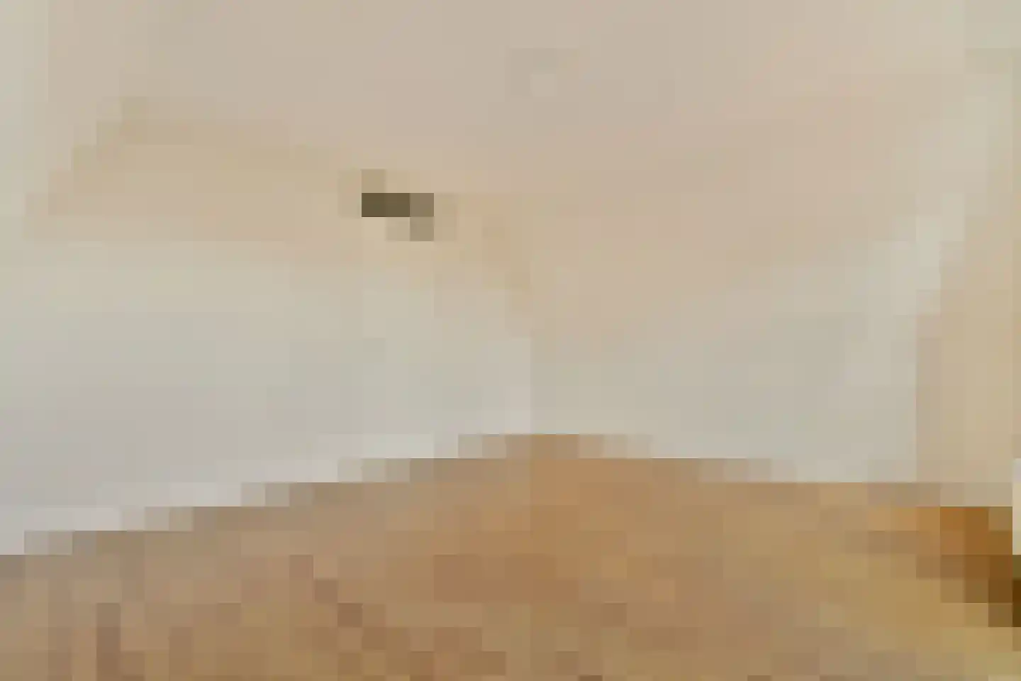 Zuiderhoofdstraat 57 B Krommenie thumbnail 20