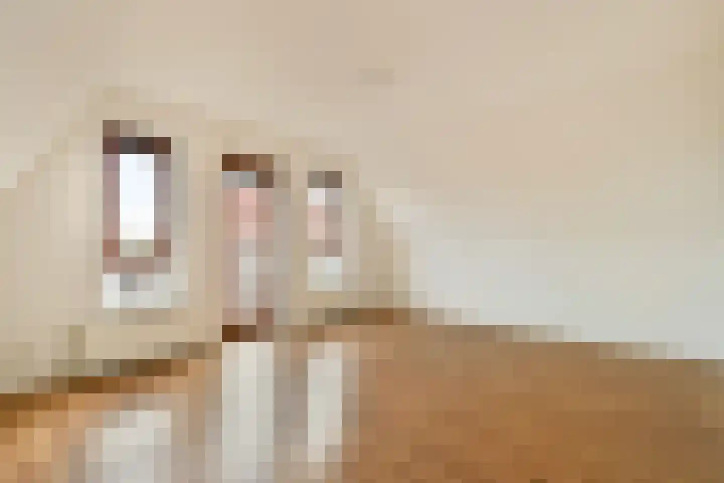 Zuiderhoofdstraat 57 B Krommenie thumbnail 21