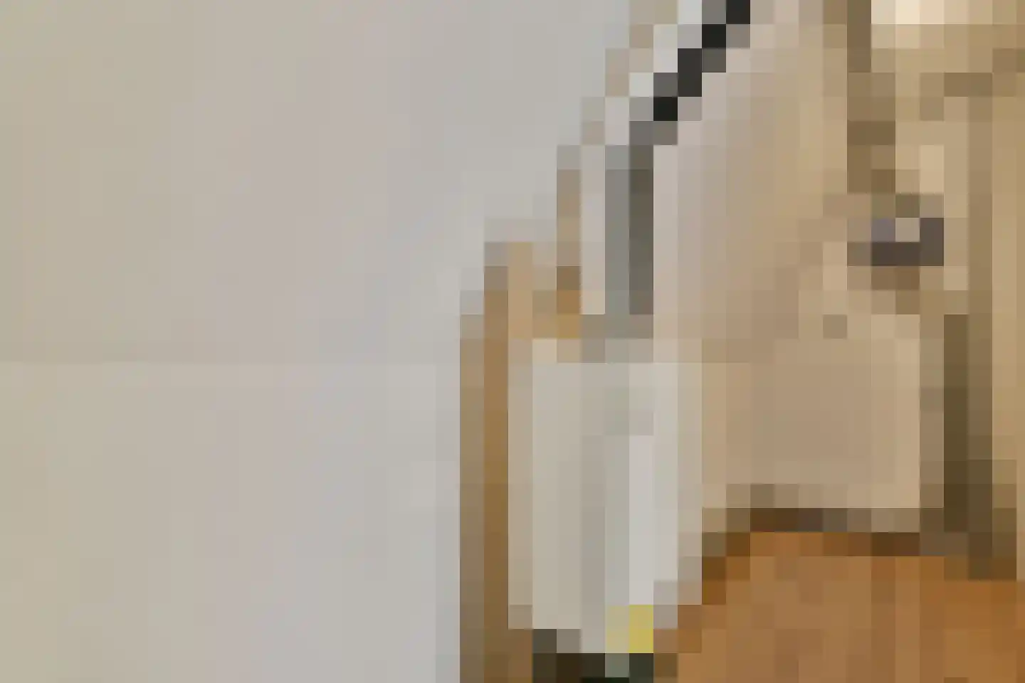 Zuiderhoofdstraat 57 B Krommenie thumbnail 23