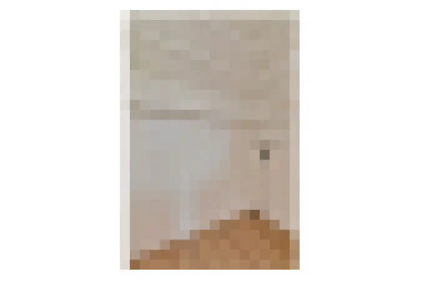 Zuiderhoofdstraat 57 B Krommenie thumbnail 26