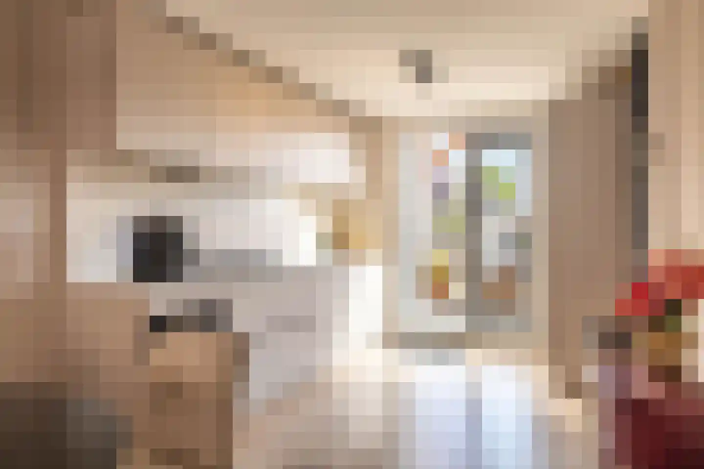 Zuiderhoofdstraat 82 Krommenie thumbnail 10