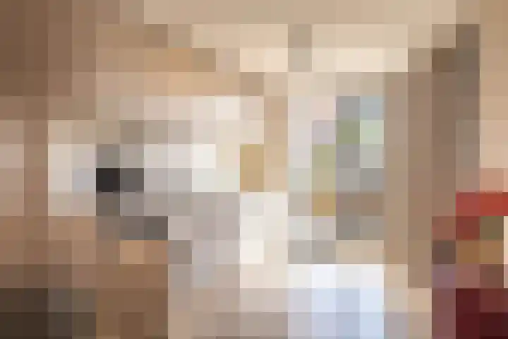 Zuiderhoofdstraat 82 Krommenie thumbnail 10