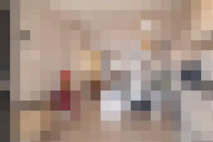 Zuiderhoofdstraat 82 Krommenie thumbnail 4