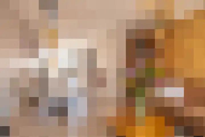 Zuiderhoofdstraat 82 Krommenie thumbnail 8