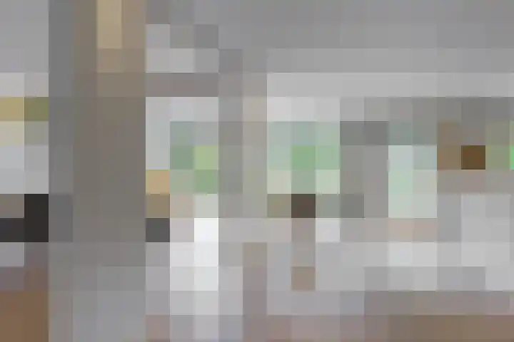Zuiderhout 28 Blokker thumbnail 10