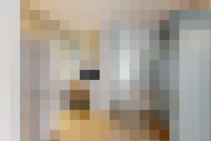 Zuiderhout 28 Blokker thumbnail 11