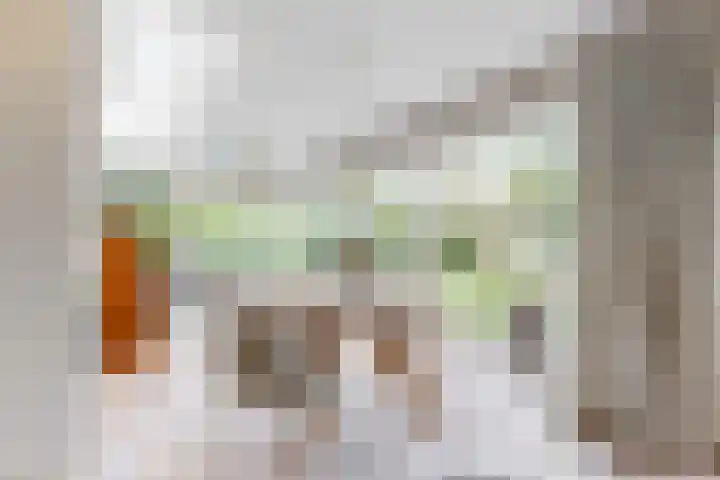 Zuiderhout 28 Blokker thumbnail 12