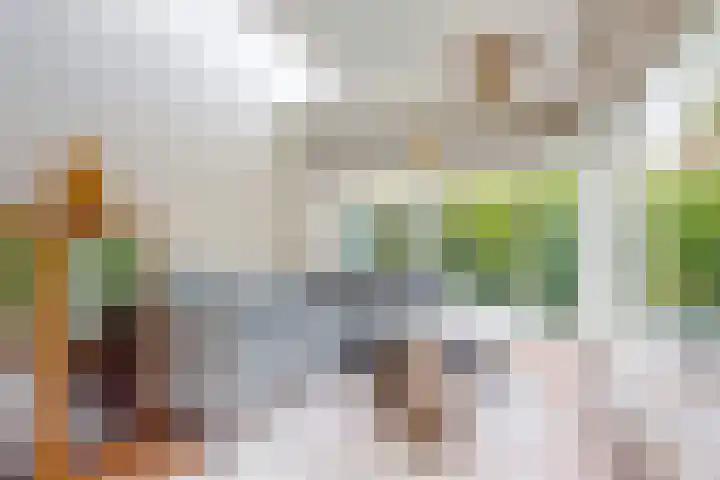 Zuiderhout 28 Blokker thumbnail 14