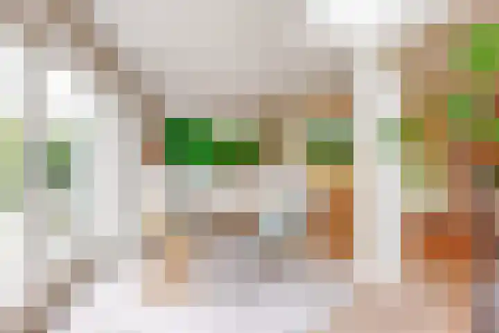Zuiderhout 28 Blokker thumbnail 16