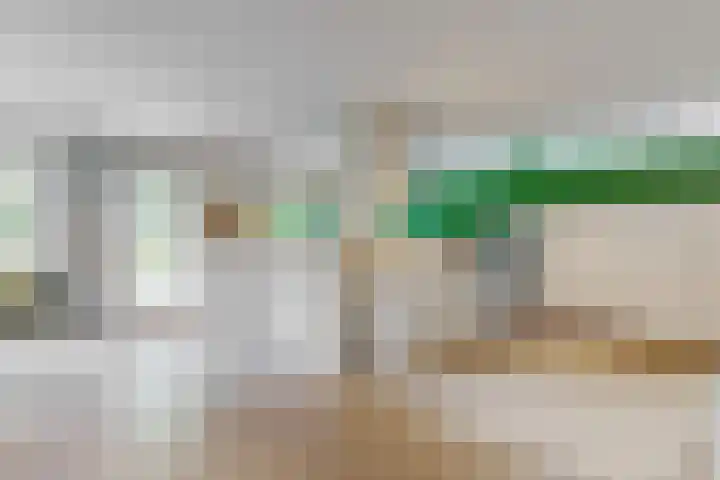 Zuiderhout 28 Blokker thumbnail 17