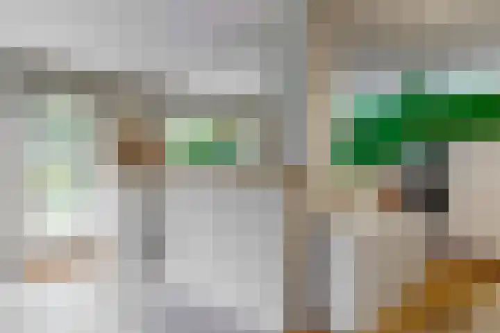 Zuiderhout 28 Blokker thumbnail 18
