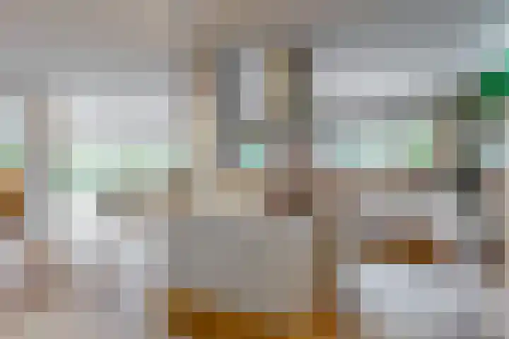 Zuiderhout 28 Blokker thumbnail 19